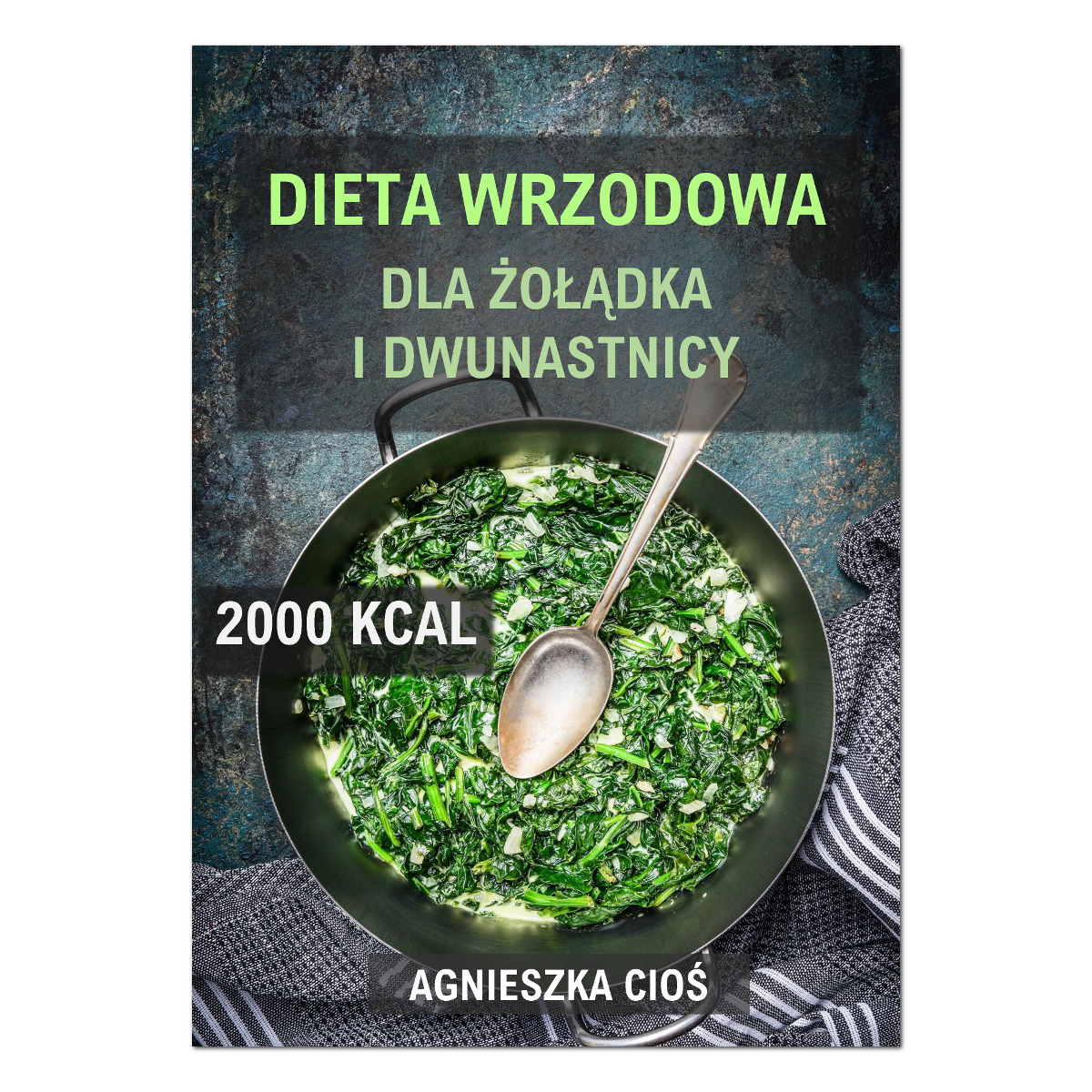 e-book-wrzody-zoladka-i-dwunastnicy-2000-01